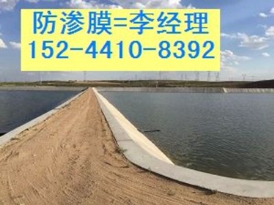 ֱ�N*�����B�r�ط��BĤ���*�~�����BĤҎ��