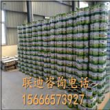 ���|�h�����F���g��r��  �����h�����F���g��r��