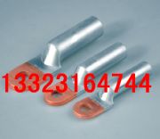 dtl-1-25銅鋁過度接線端子適用于25平方導(dǎo)線