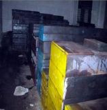 2363ģ������l��2363ģ��䓃r��