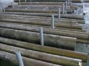 gcr4ģ������l��gcr4ģ��䓃r��