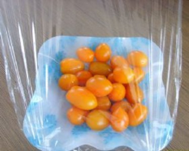 ����ı��rĤ��ԓ���ϵėl��