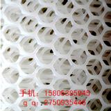 ���f�B(y��ng)�����ϾW�����l(f��)=������ȫ����+��؛������