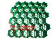 ���^܇����ˮ��%���ݾG����-ֲ�ݸ�