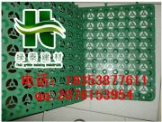 吉林車庫(kù)種植濾水板*排水板作用延邊屋頂花園排水板*廠家