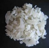 ������⛃r�������⛏S��ֱ�N