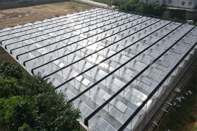 ꖹ����Ҵ���ă��c