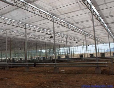 ������_�x����Ҵ�����ꖾW