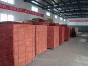 ����(y��ng)���z�а�(�D)