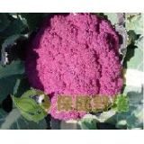 �����ϻ���