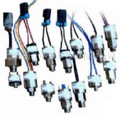 �≺�_�P��ȼ�≺���_�P�����w�����_�P