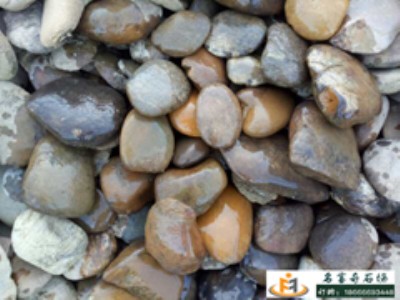 廣東鵝卵石 廣東鵝卵石價格 鵝卵石產地