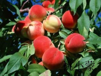 ����������l�Ј�_��С��������҂��f��������������