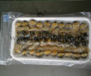 �s��Ƭ���l(f��)����(y��ng)