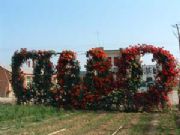 �����ٱ��¼�(�D)