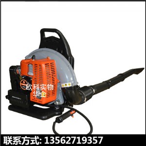 沙子灰塵清掃機(jī)二沖程樹(shù)葉吹風(fēng)機(jī)雜草清理吹風(fēng)機(jī)
