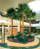 �����ؙ���S�� �����ؙ��䶨��