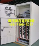 10kv�߉�늙C(j��)�̑B(t��i)ܛ���ӹ�