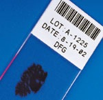 �����b-481��Ƭ�˺�