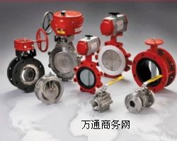 ���ף�Bray���y�T