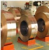 ����CuAl5 CuAl5As �X���~�� �X���~��(�D)