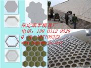 ���������o��ģ��