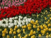 ���m�M��������N��