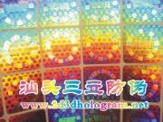 �������^����ӡˢ �D�伤���־(�D)