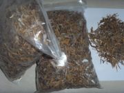 �����l�خa÷�ɲ�