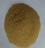 �I�ݹ���������ӄ��Ȱ�����