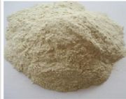 ɽ�|�I�ݏS�ҹ������С��������ϣ�������ϣ�