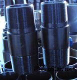 �p�����^