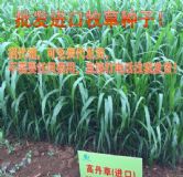 �ļ����ݷN�� ����B(y��ng)ֳ�ݷN�r(ji��)��