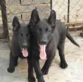 ���I�����r����Ȯ�Bֳ��������Ȯ�Bֳ��