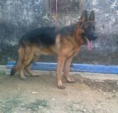 ����Ȯ�Bֳ��