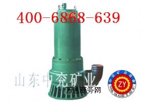 2.2KWBQS������ˮ�ã������ػ�6����