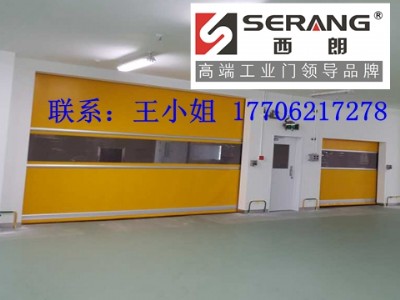 �_�ݝ����ҿ����T