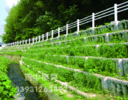 �A�ƾ��^��ʽ���B�o���aƷ����