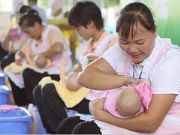 ��ɩ��Ӗ���ġ����H����ɩ��Ӗ�r���M�����