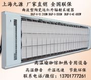 ����ʡ ݗ��ʽ늟��� 늼ӟ��� srjf-x-6