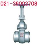 ����(y��ng)DSZ44H-16C ˮ���l�y(�D)