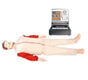 供應(yīng)急救技能培訓(xùn)模型,中小學(xué)安全教育訓(xùn)練模擬人(圖)