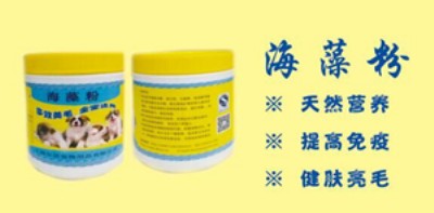 earnur pet ���Z����� ���� 300��/�� ��ë��