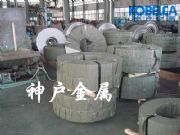 �M�ڏ���䓰��� c70����䓰�� �M�ڏ���䓰��