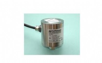 holthausen��ӂ�����