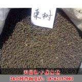 ����쳿�N�����l(f��)վ������(y��u)�|���N��(�D)