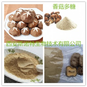 香菇多糖 香菇提取物 斯諾特專業提取 廠家直銷