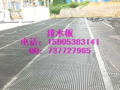 ��������Nֲ��ˮ��ӱ�܇����ˮ��