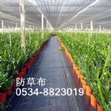 Ӱ�ɽ�|���ݾ������r(ji��)�������