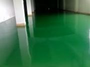 �����h����֬��ƺ��(�D)